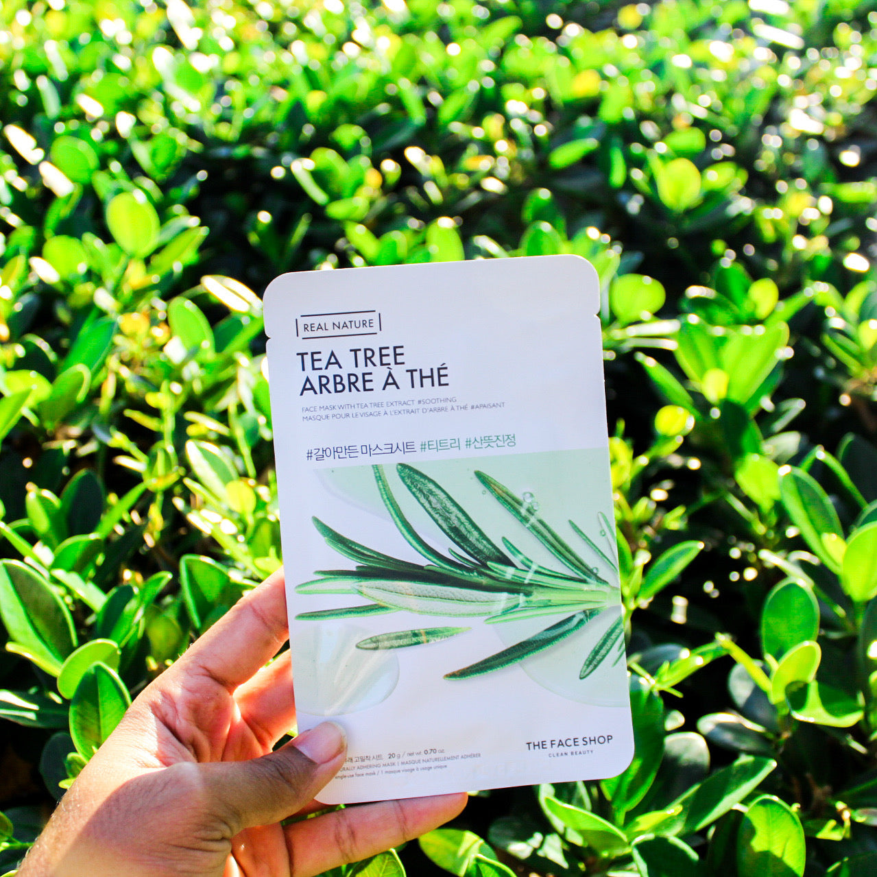 The Face Shop Tea Tree Sheet Mask